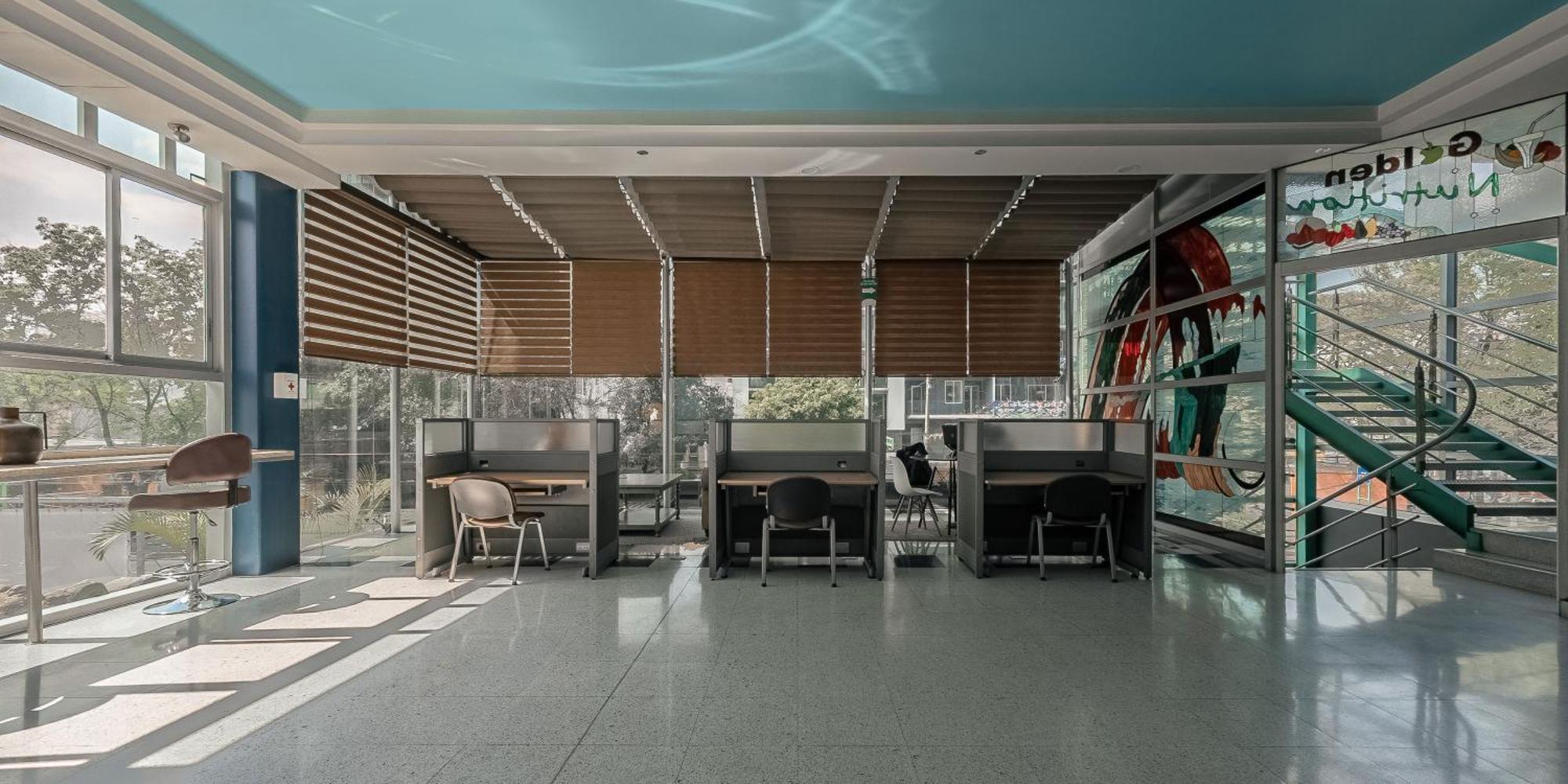 The Jungle Loft Tropical Comfort In A Centric Location With Kitchen 墨西哥城 外观 照片