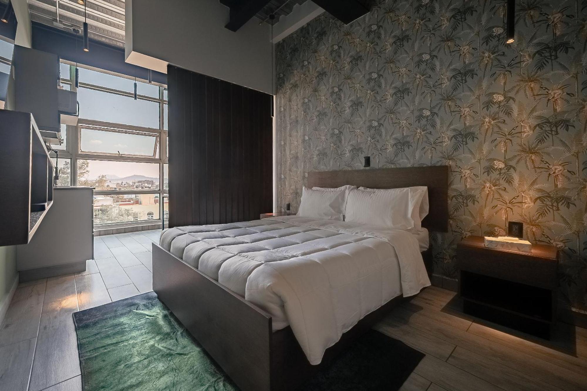 The Jungle Loft Tropical Comfort In A Centric Location With Kitchen 墨西哥城 外观 照片